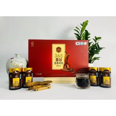 SÂM ĐÔNG TRÙNG HẠ THẢO