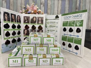 Thuốc Nhuộm Phủ Bạc Maria Nguyễn - MR01...