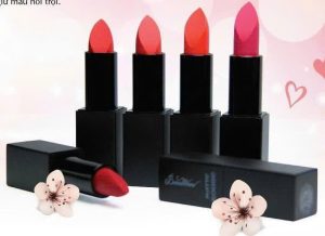 Son Lì Siêu Mịn Matte Rouge BM02