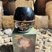 Kem Ngăn Ngừa Nám Cao Cấp Shin Be SB02.