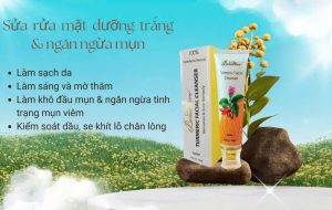 Sữa Rửa Mặt Nghệ Beaumore BM02.