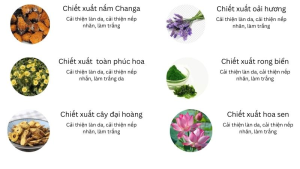 Kem Dưỡng Chống Nhăn Airfais 50g Q09.