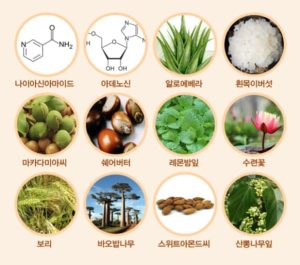 Kem Dưỡng Trắng Airfrais 50ML Q07