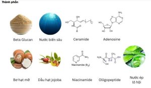 Nước Cân Bằng Airfrais Q05..