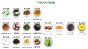 Tinh Chất Cô Đặc  Vita-C Set 6 chai Q03